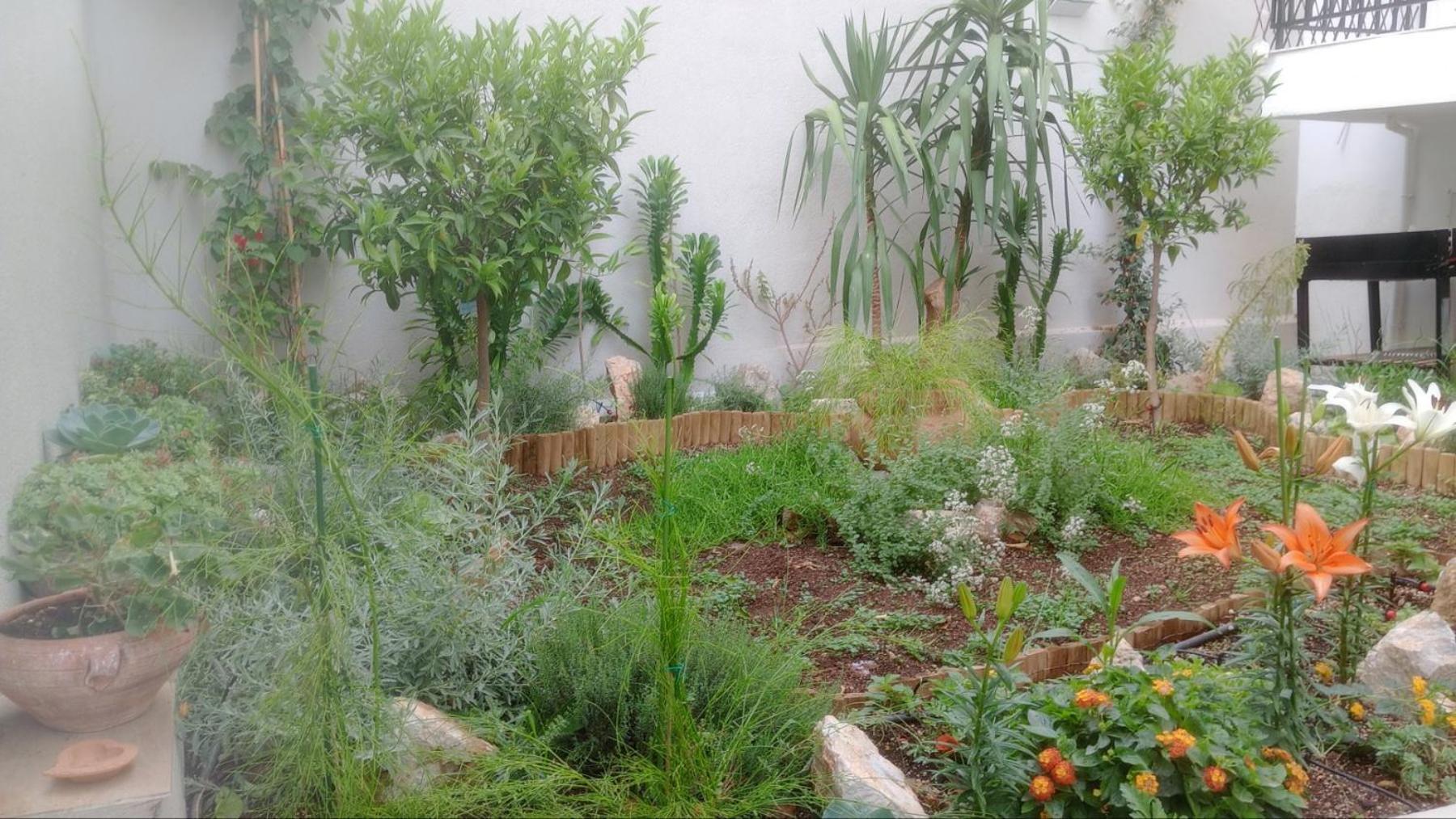 Annag Apart And Zitahouse Atene Esterno foto